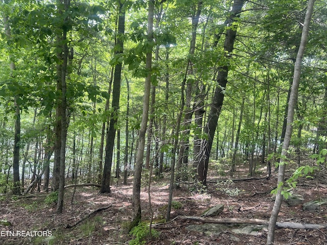 104 Chatham Ln, Fairfield Glade, TN 38558