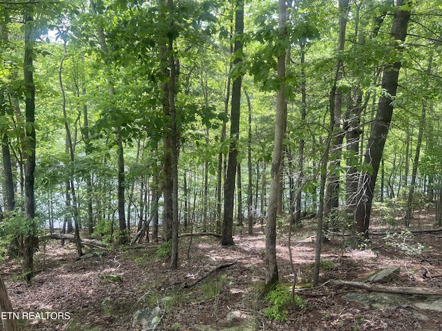 104 Chatham Ln, Fairfield Glade, TN 38558