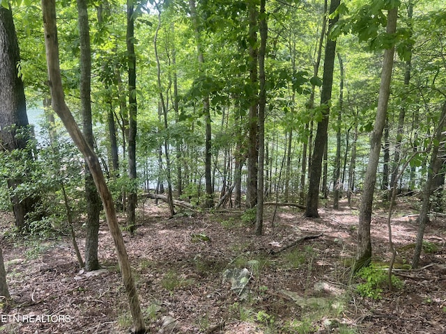 104 Chatham Ln, Fairfield Glade, TN 38558