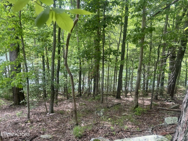 104 Chatham Ln, Fairfield Glade, TN 38558