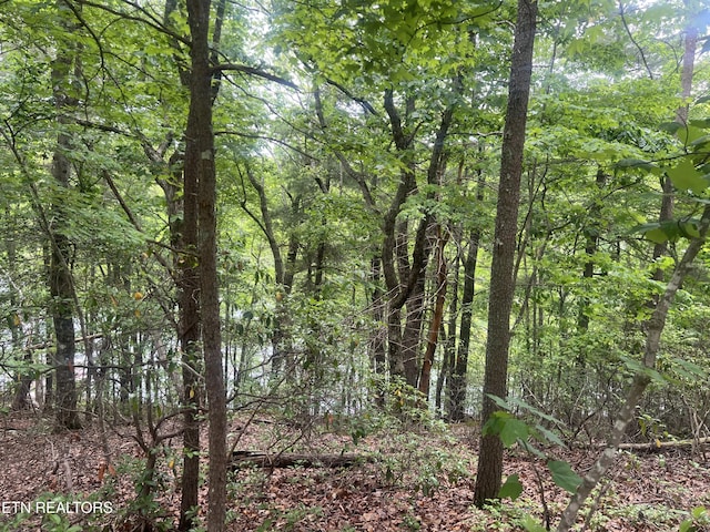 104 Chatham Ln, Fairfield Glade, TN 38558