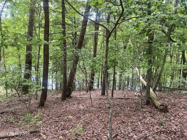104 Chatham Ln, Fairfield Glade, TN 38558
