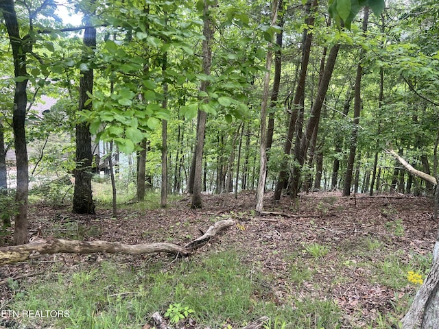 104 Chatham Ln, Fairfield Glade, TN 38558