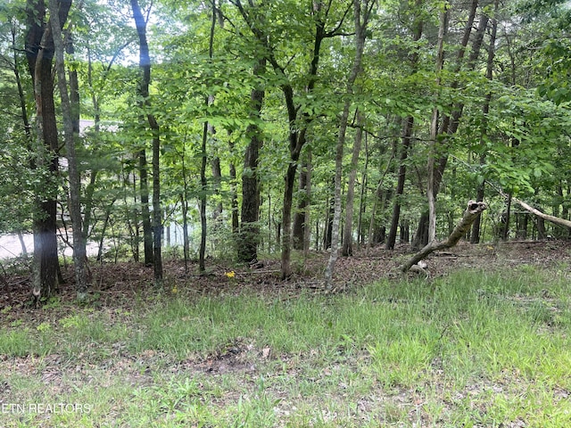 104 Chatham Ln, Fairfield Glade, TN 38558