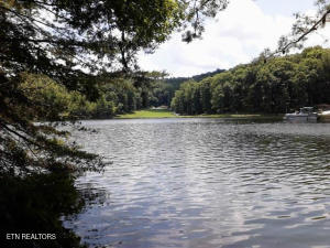 104 Chatham Ln, Fairfield Glade, TN 38558