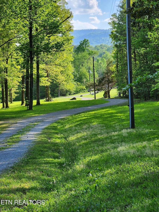 view of community featuring a lawn