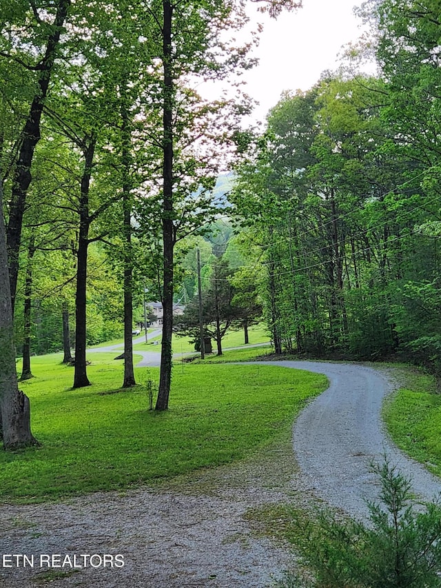 view of home's community featuring a lawn