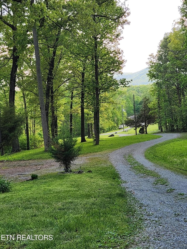 36 Myers Rd, Tellico Plains, TN 37385 - photo 38