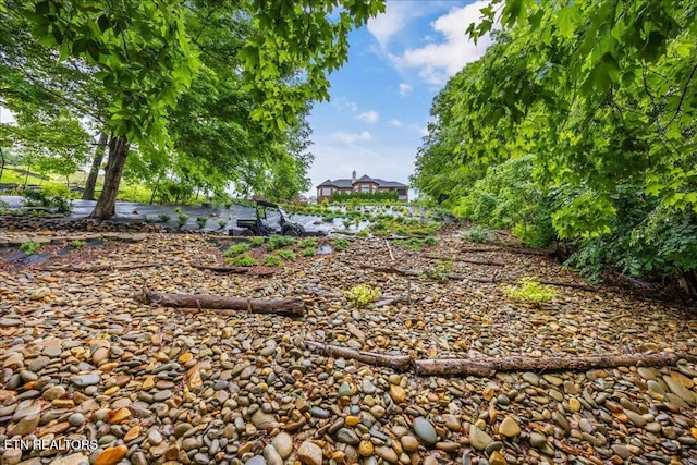 200 Bluffton Rd, Friendsville, TN 37737 - view of yard