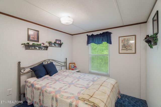 2459 Black Oak Ridge Rd, Sevierville, TN 37876 - photo 22