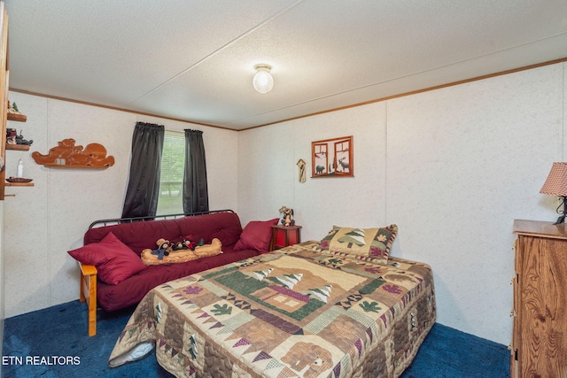 2459 Black Oak Ridge Rd, Sevierville, TN 37876 - photo 33