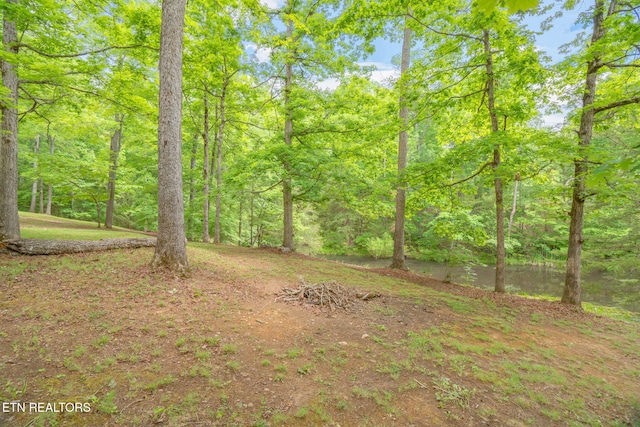 2459 Black Oak Ridge Rd, Sevierville, TN 37876 - photo 37