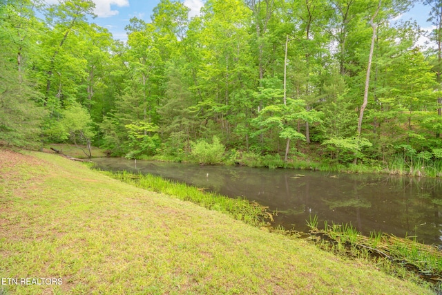 2459 Black Oak Ridge Rd, Sevierville, TN 37876 - photo 40