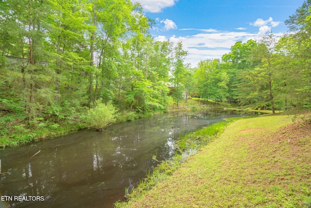 2459 Black Oak Ridge Rd, Sevierville, TN 37876 - photo 41