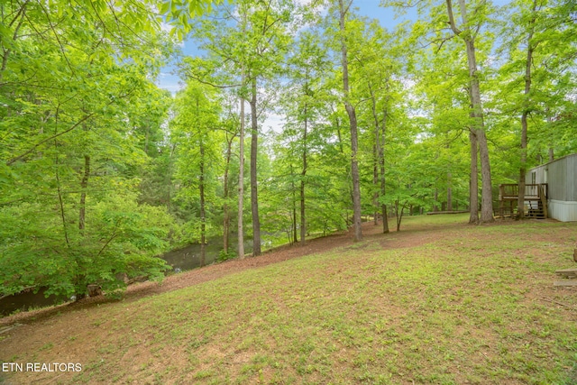 2459 Black Oak Ridge Rd, Sevierville, TN 37876 - photo 42