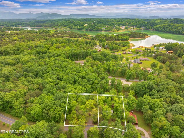 2459 Black Oak Ridge Rd, Sevierville, TN 37876 - photo 43