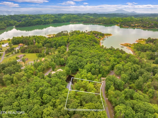 2459 Black Oak Ridge Rd, Sevierville, TN 37876 - photo 44