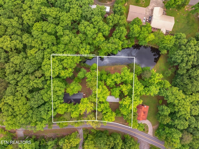 2459 Black Oak Ridge Rd, Sevierville, TN 37876 - photo 45