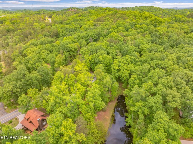 2459 Black Oak Ridge Rd, Sevierville, TN 37876 - photo 46