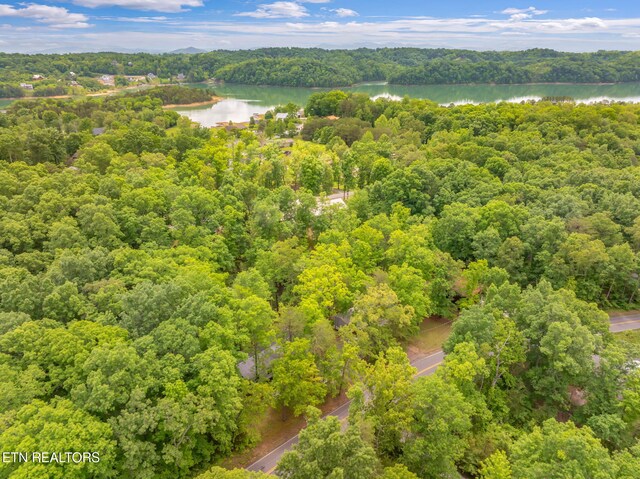2459 Black Oak Ridge Rd, Sevierville, TN 37876 - photo 48