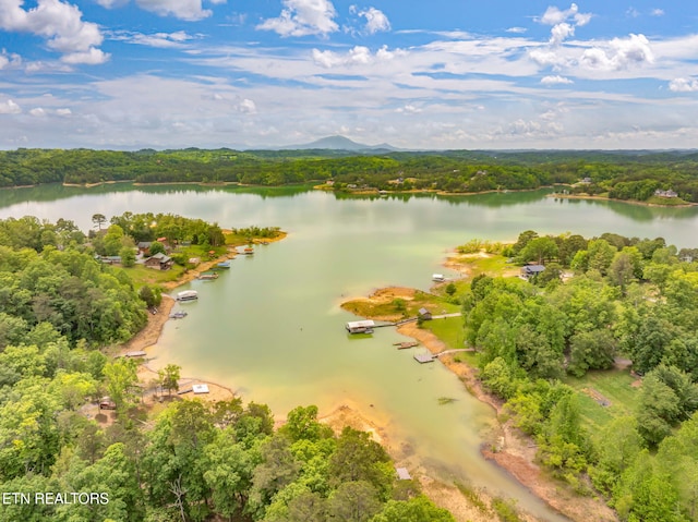 2459 Black Oak Ridge Rd, Sevierville, TN 37876 - photo 49