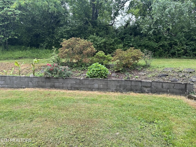 180 Cedar Ln, Jacksboro, TN 37757 - view of grassy yard
