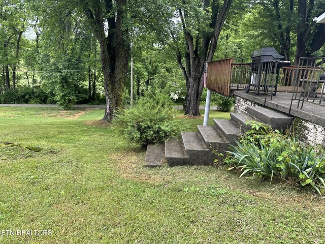180 Cedar Ln, Jacksboro, TN 37757 - view of grassy yard