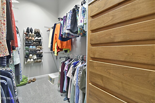 12212 Oakmont Cir, Knoxville, TN 37934 - spacious closet with carpet floors