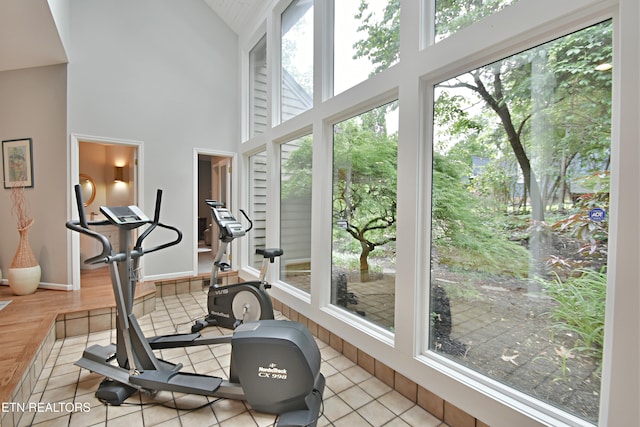 12212 Oakmont Cir, Knoxville, TN 37934 - workout room featuring high vaulted ceiling, light tile patterned flooring, and baseboards