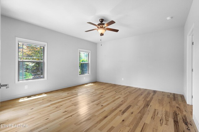 303 W Shore Dr, Rockwood, TN 37854 - photo 27