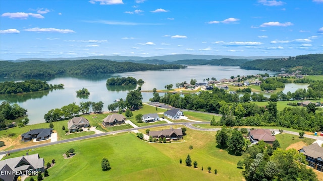 303 W Shore Dr, Rockwood, TN 37854 - photo 40