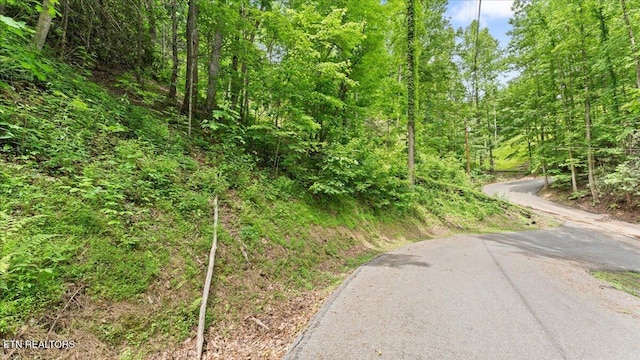 301 Matterhorn Dr, Gatlinburg, TN 37738 - photo 4