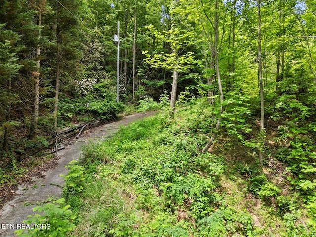 301 Matterhorn Dr, Gatlinburg, TN 37738 - photo 5