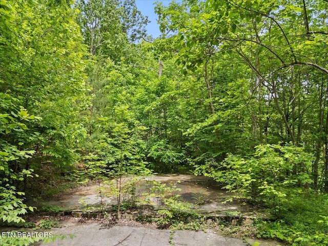 301 Matterhorn Dr, Gatlinburg, TN 37738 - photo 6