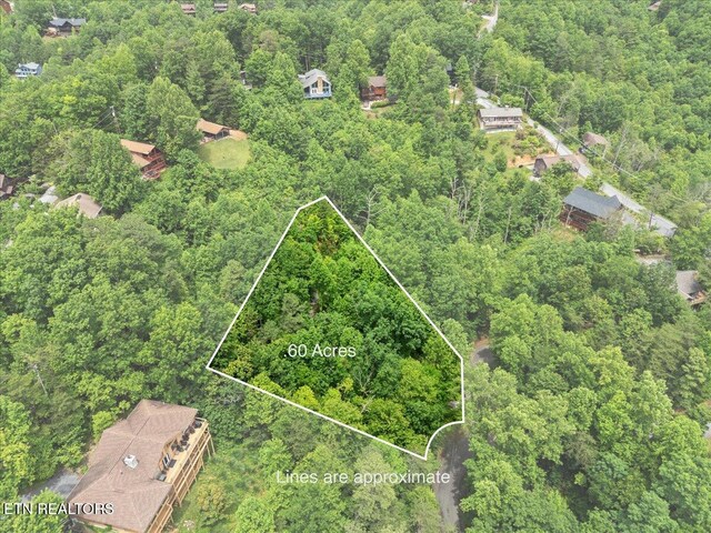 301 Matterhorn Dr, Gatlinburg, TN 37738 - photo 7
