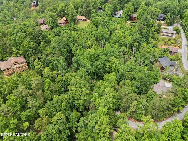 301 Matterhorn Dr, Gatlinburg, TN 37738 - photo 9
