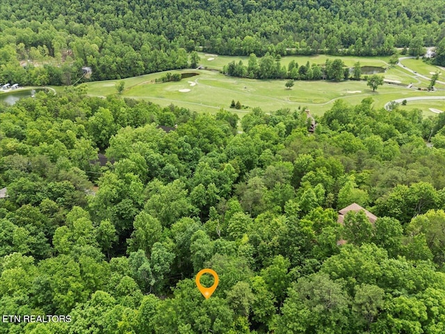 301 Matterhorn Dr, Gatlinburg, TN 37738 - photo 10