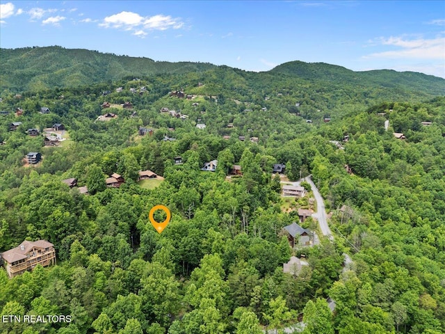 301 Matterhorn Dr, Gatlinburg, TN 37738 - photo 12