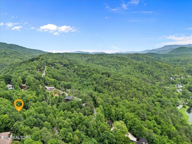 301 Matterhorn Dr, Gatlinburg, TN 37738 - photo 13