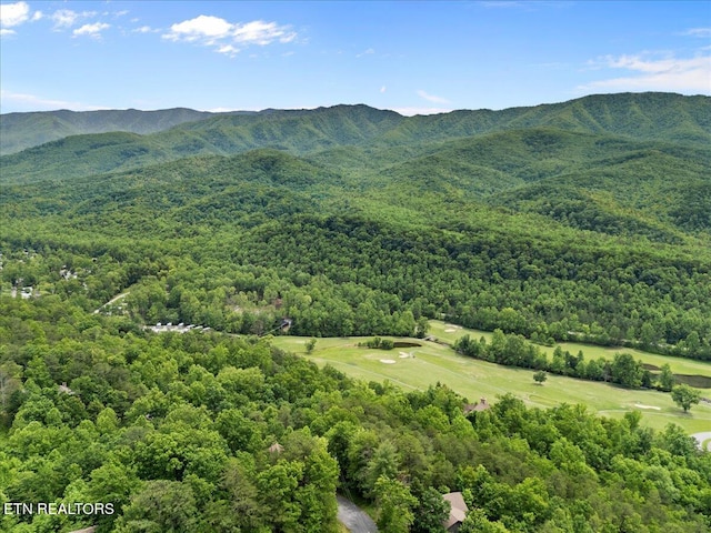 301 Matterhorn Dr, Gatlinburg, TN 37738 - photo 14