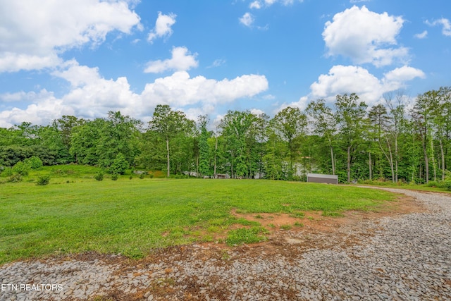 384 Lancer Rd, Harriman, TN 37748 - view of yard featuring a view of trees