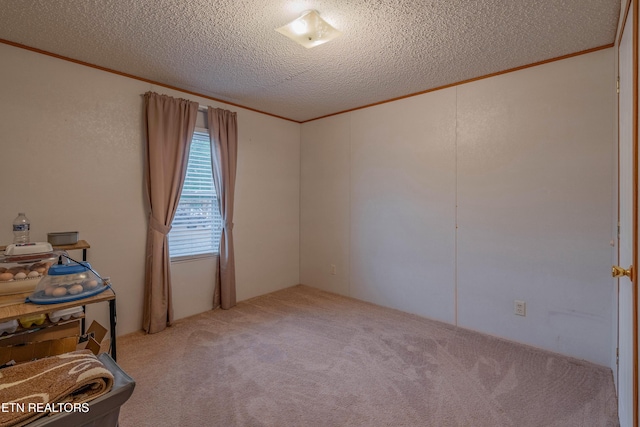 384 Lancer Rd, Harriman, TN 37748 - carpeted empty room with crown molding and a textured ceiling