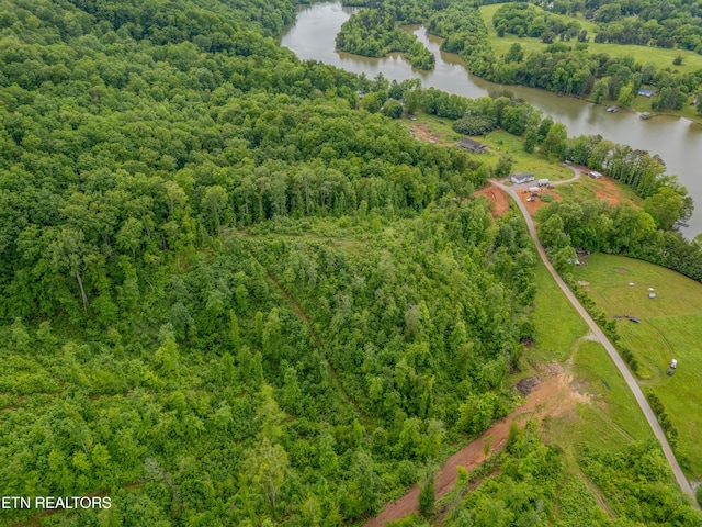 384 Lancer Rd, Harriman, TN 37748 - view of property location with a nearby body of water and a heavily wooded area