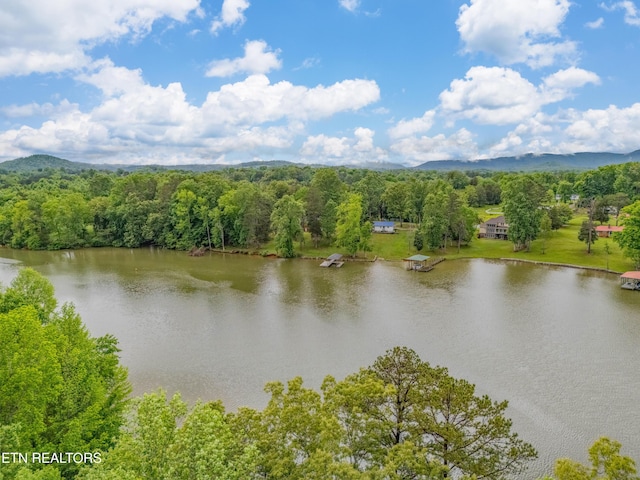 384 Lancer Rd, Harriman, TN 37748 - drone / aerial view of a large body of water and a heavily wooded area