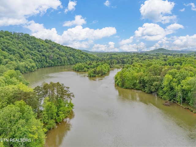 384 Lancer Rd, Harriman, TN 37748 - water view featuring a heavily wooded area