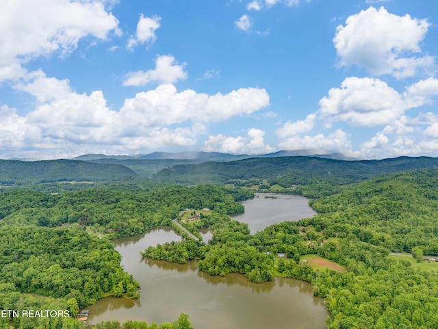 384 Lancer Rd, Harriman, TN 37748 - bird's eye view of a water and mountain view and a forest