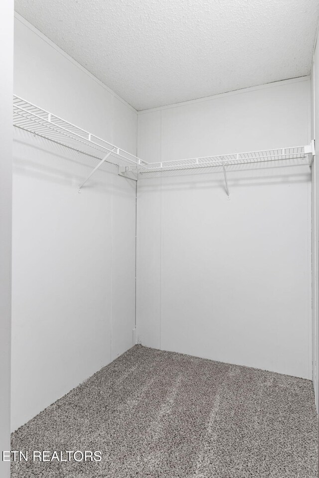 4817 Howardsville Rd, Apison, TN 37302 - walk in closet with carpet floors