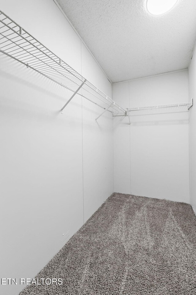 4817 Howardsville Rd, Apison, TN 37302 - walk in closet with carpet floors