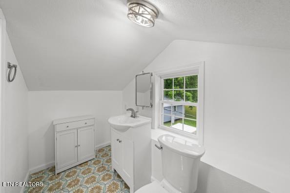 739 W Main St, Sevierville, TN 37862 - bathroom with lofted ceiling, vanity, and toilet