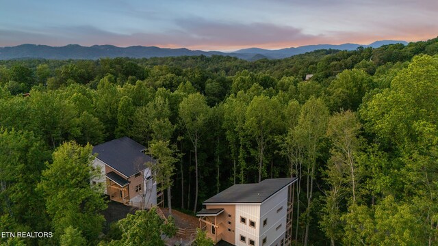 1924 Pine Ct, Sevierville, TN 37876 - photo 39